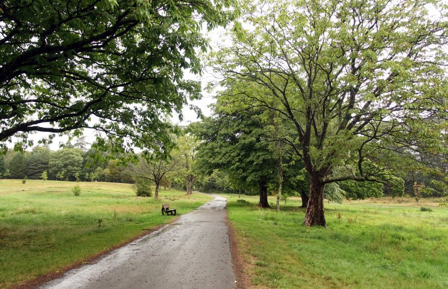 Parc Singleton Park, United Kingdom